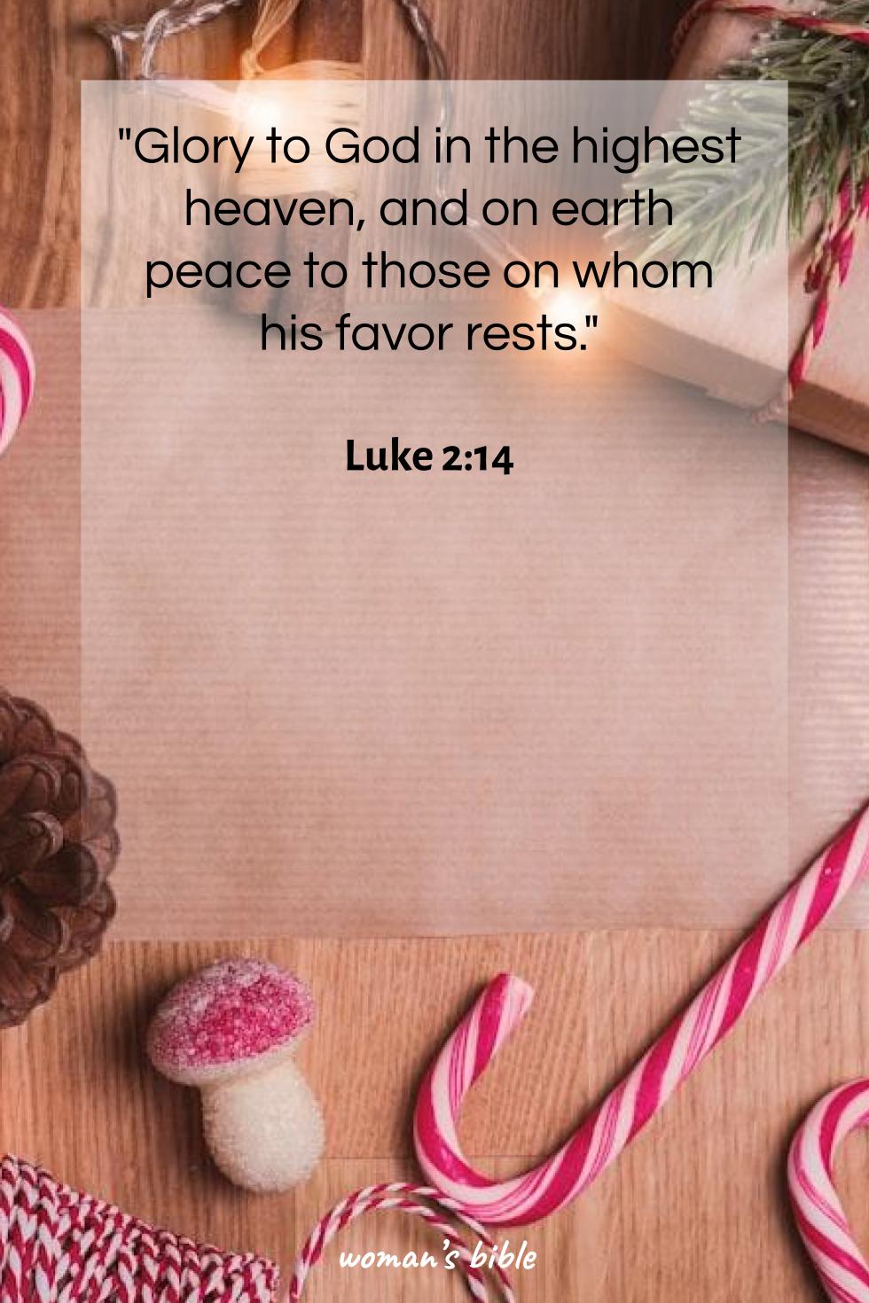 Christmas Bible Verses for Spiritual Reflection Luke 2:14