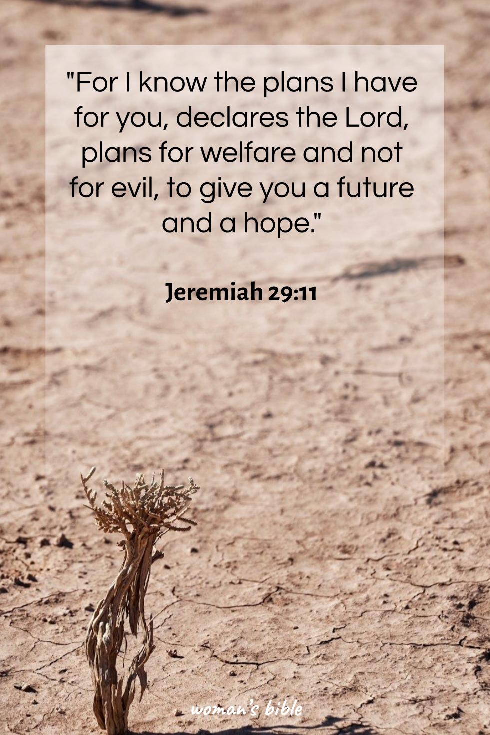 Bible Verses About Hope In Hard Times Jeremiah 29:11