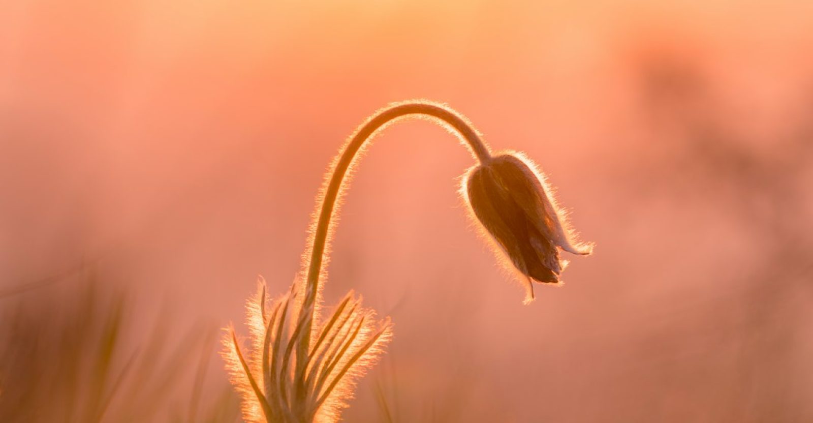 24 Bible Verses About Hope In Hard Times - Exploring the Source of ...