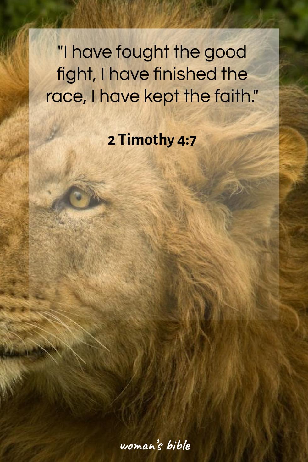 Bible Verses About Not Giving Up 2 Timothy 4:7