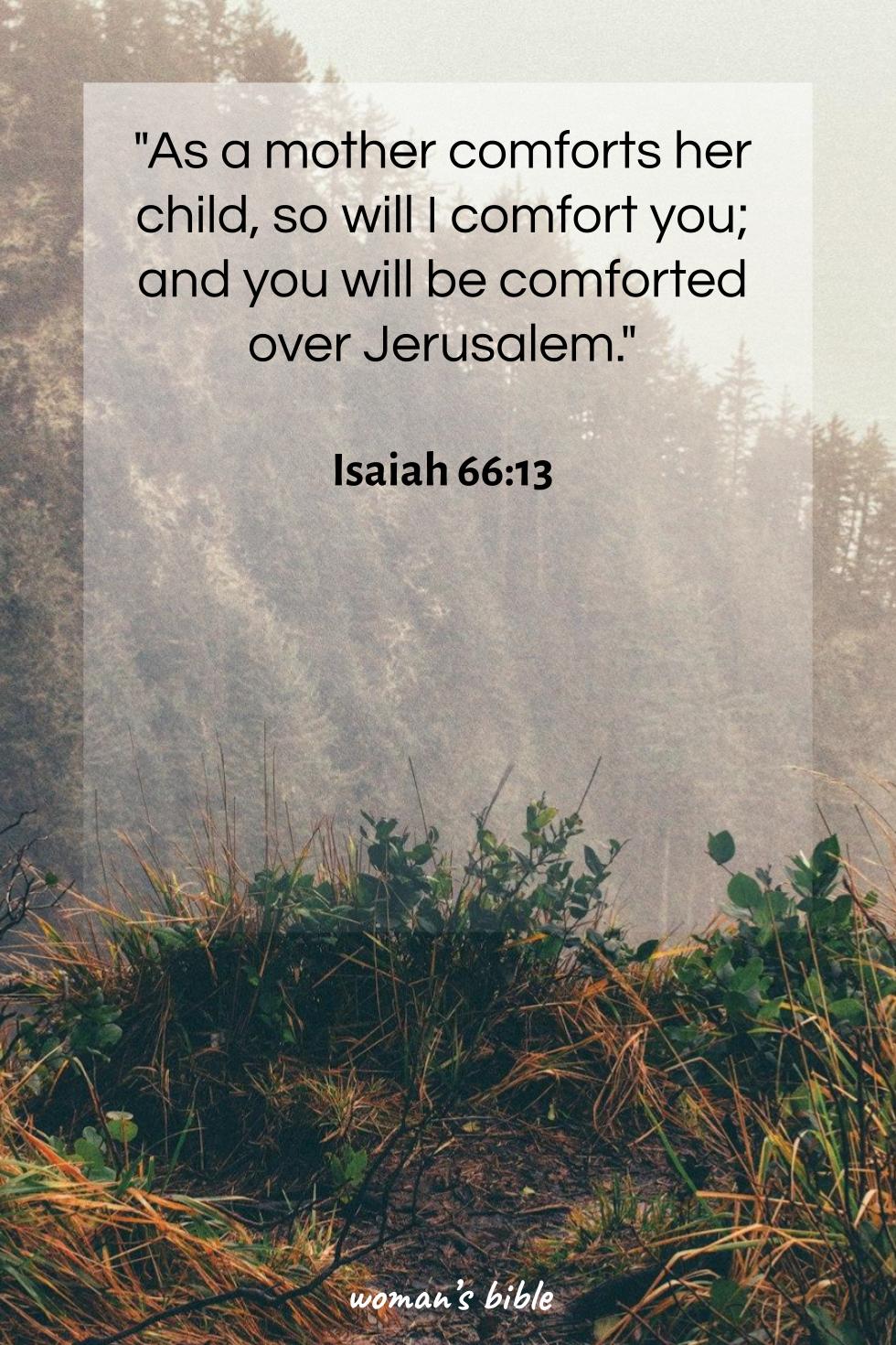 daily verse for woman Monday, April 29th, 2024 Isaiah 66:13