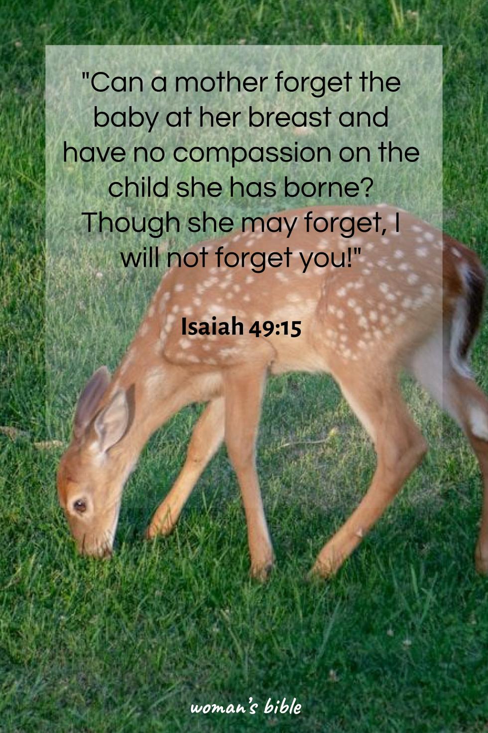 daily verse for woman Monday, April 8th, 2024 Isaiah 49:15