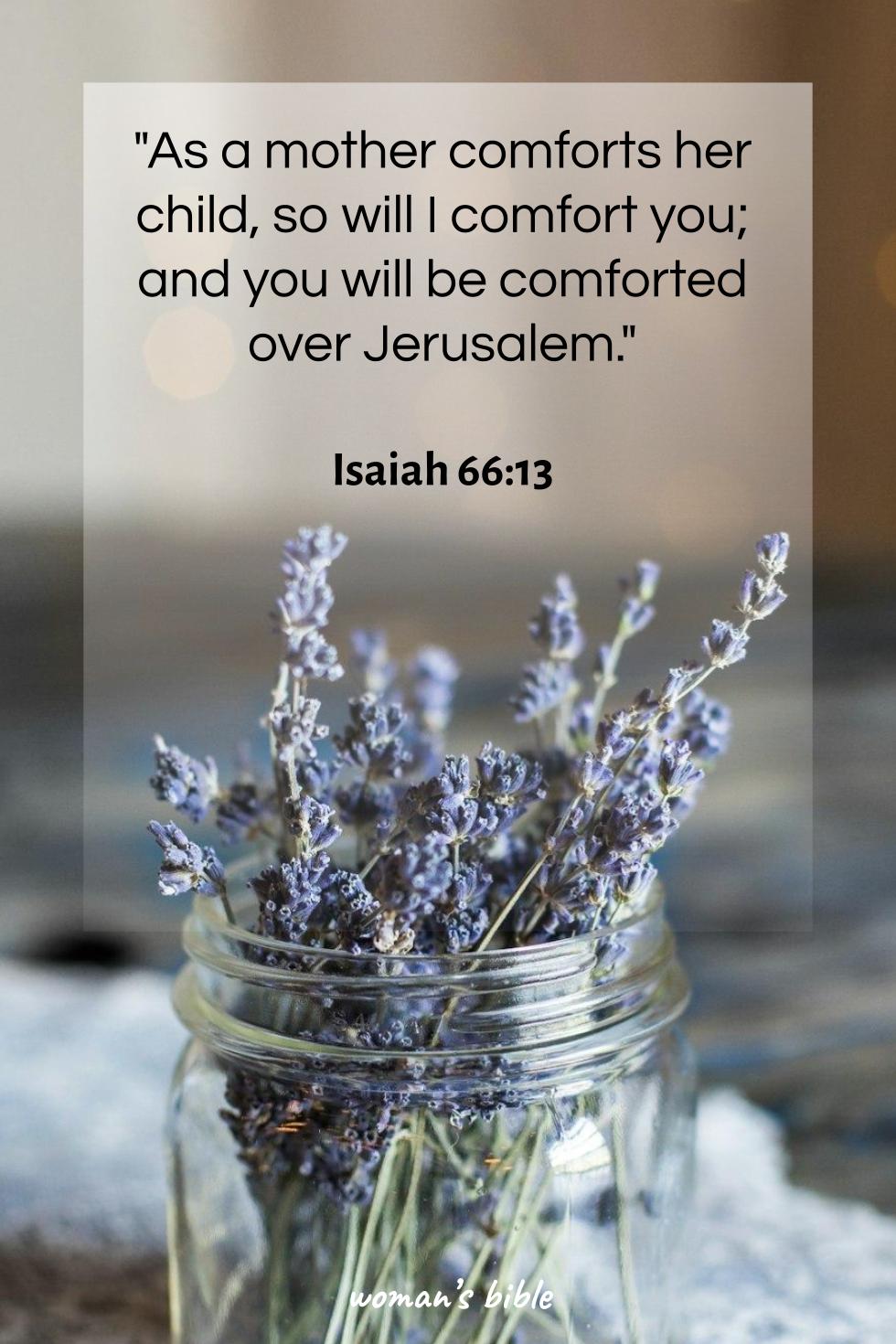 daily verse for woman Tuesday, April 9th, 2024 Isaiah 66:13