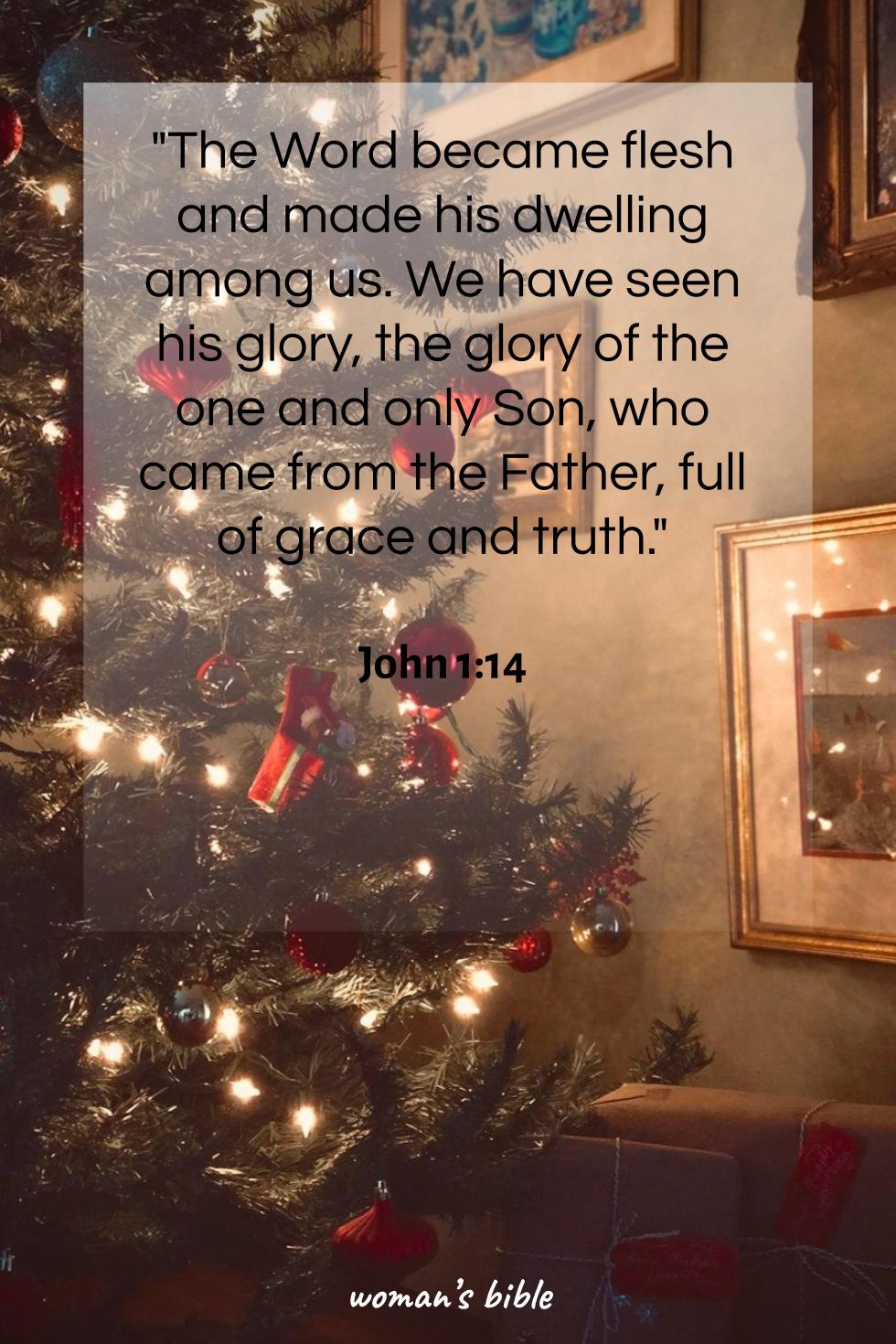 Christmas Bible Verses for Spiritual Reflection John 1:14