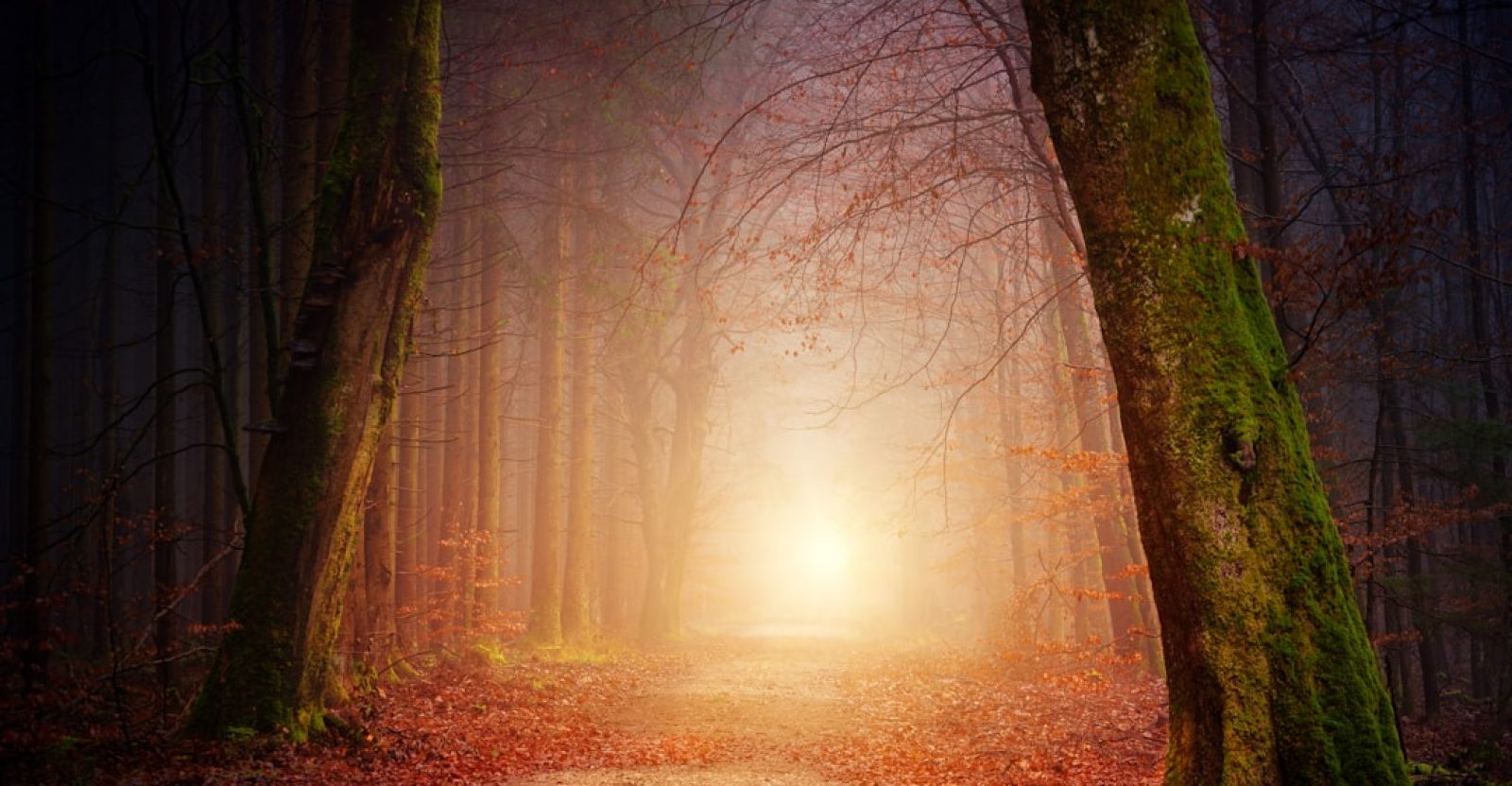 16-prayers-for-grandchildren-safety-every-grandparent-should-know