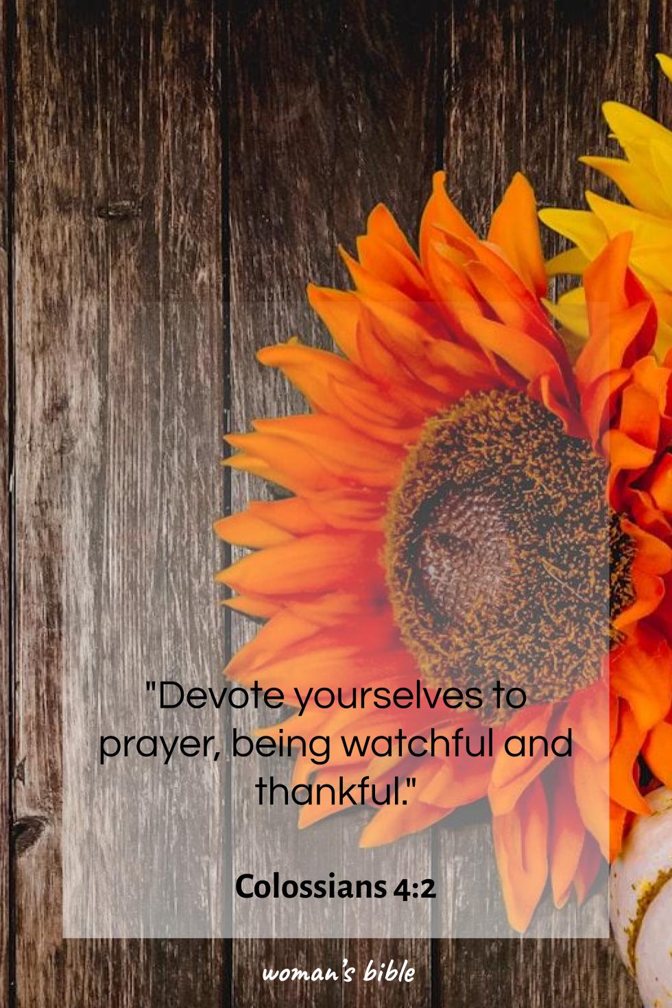 Bible Verses About Thanksgiving And Gratitude Colossians 4:2