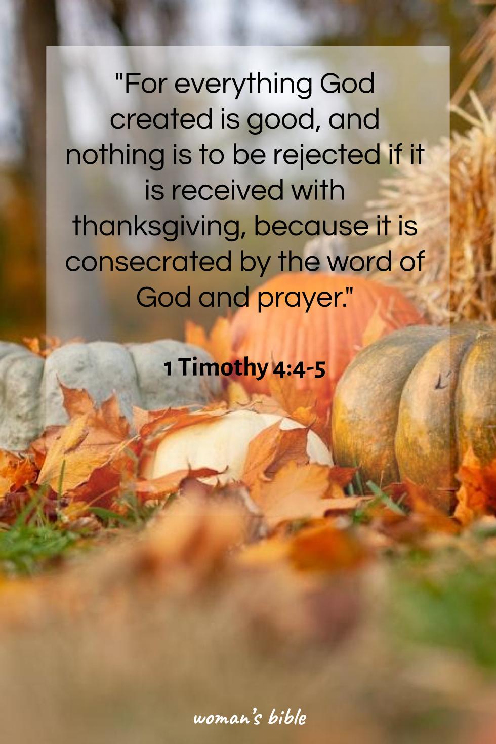 Bible Verses About Thanksgiving And Gratitude 1 Timothy 4:4-5