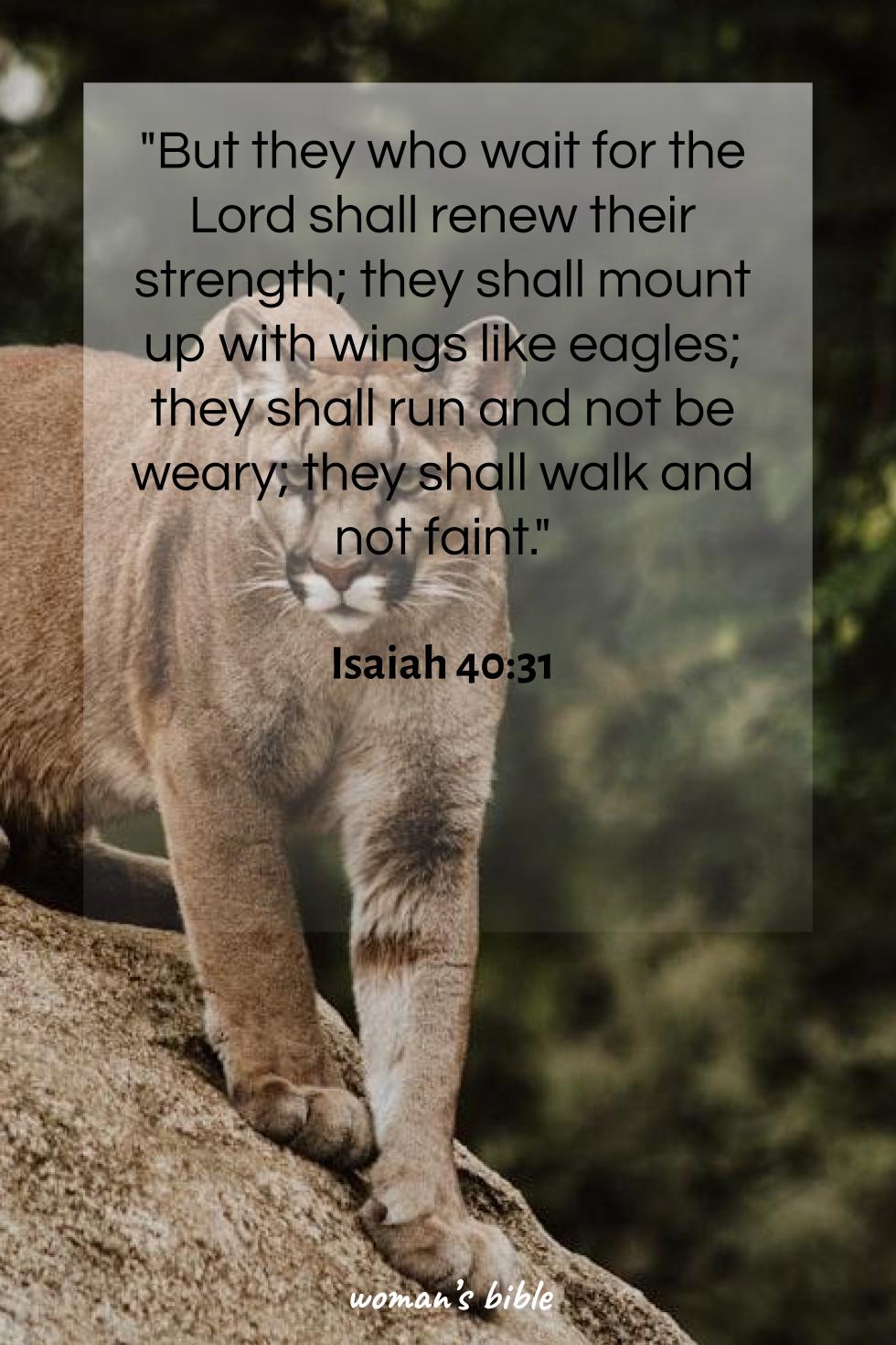 daily verse for woman Thursday, May 16th, 2024 Isaiah 40:31