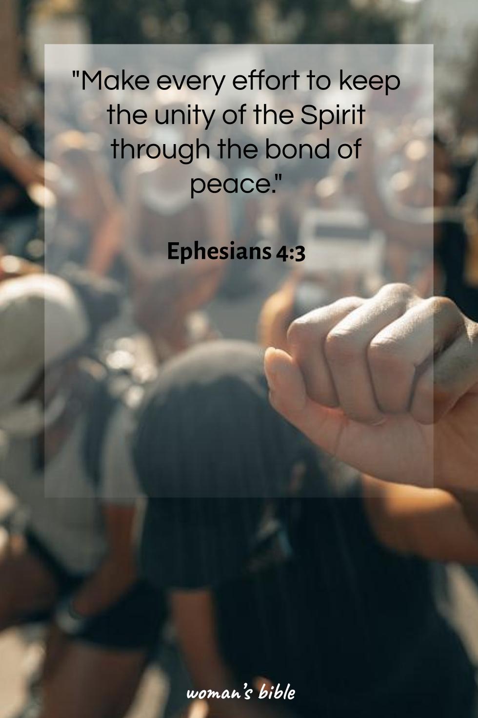 daily verse for woman Friday, June 21st, 2024 Ephesians 4:3