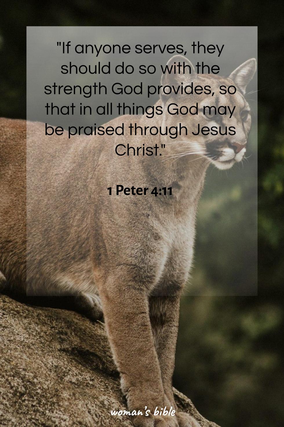 daily verse for woman Saturday, June 1st, 2024 1 Peter 4:11