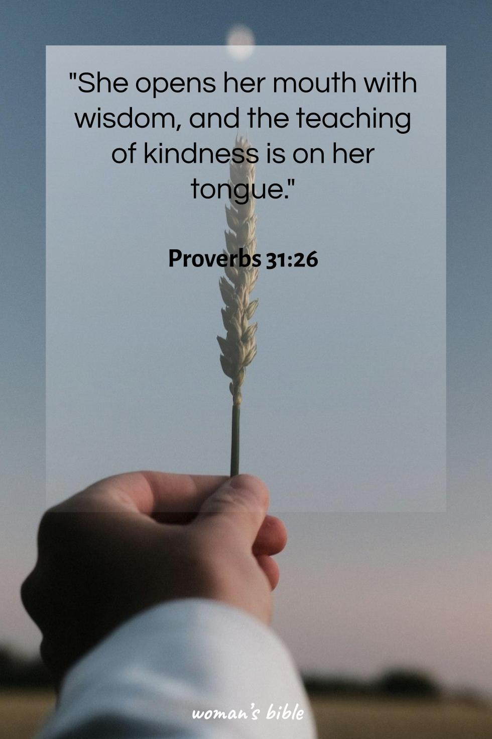 daily verse for woman Tuesday, June 11th, 2024 Proverbs 31:26