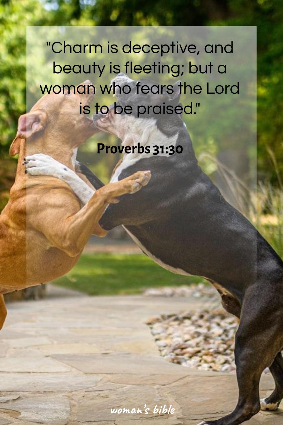 daily verse for woman Tuesday, June 4th, 2024 Proverbs 31:30