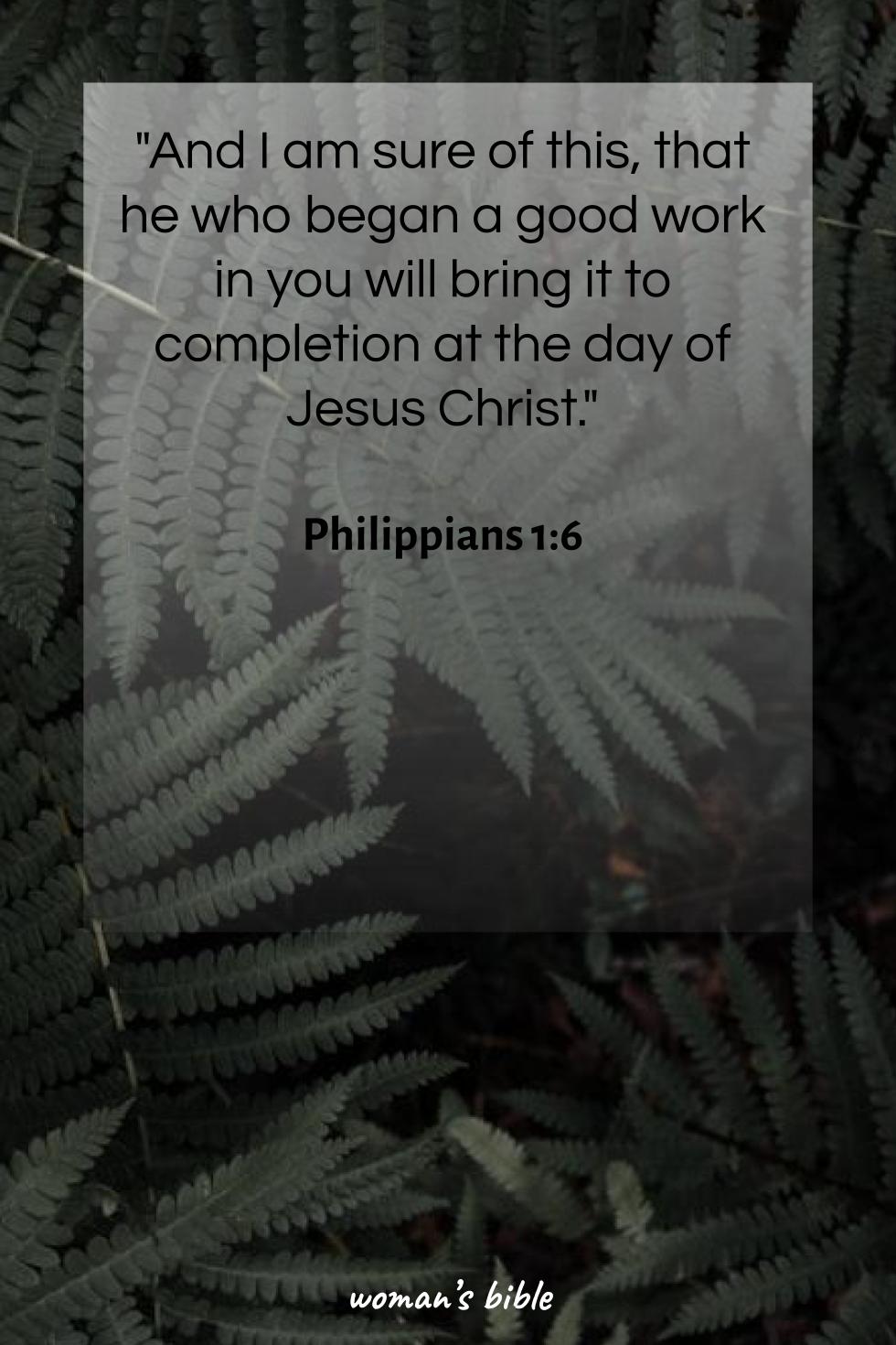 daily verse for woman Saturday, August 3rd, 2024 Philippians 1:6