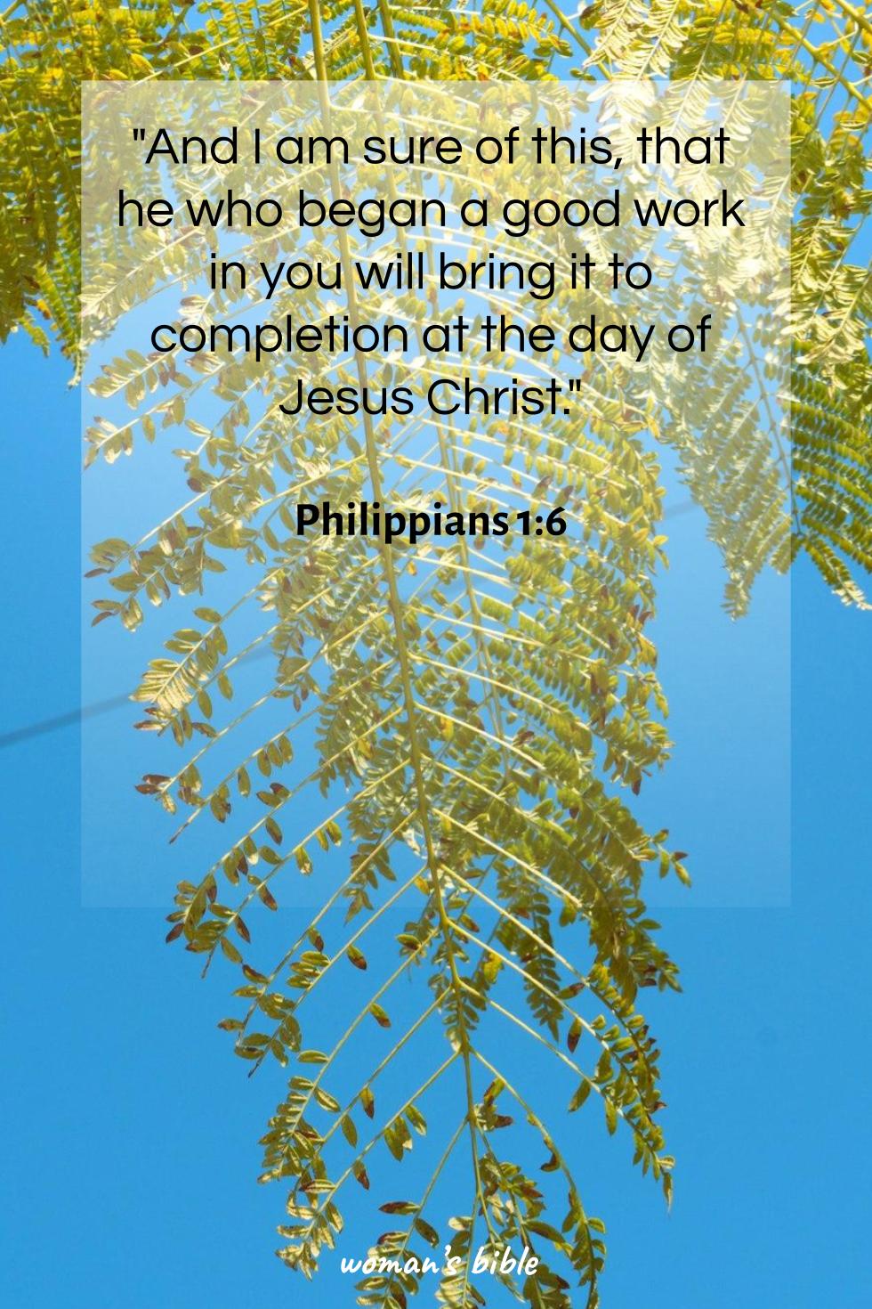 daily verse for woman Thursday, August 15th, 2024 Philippians 1:6