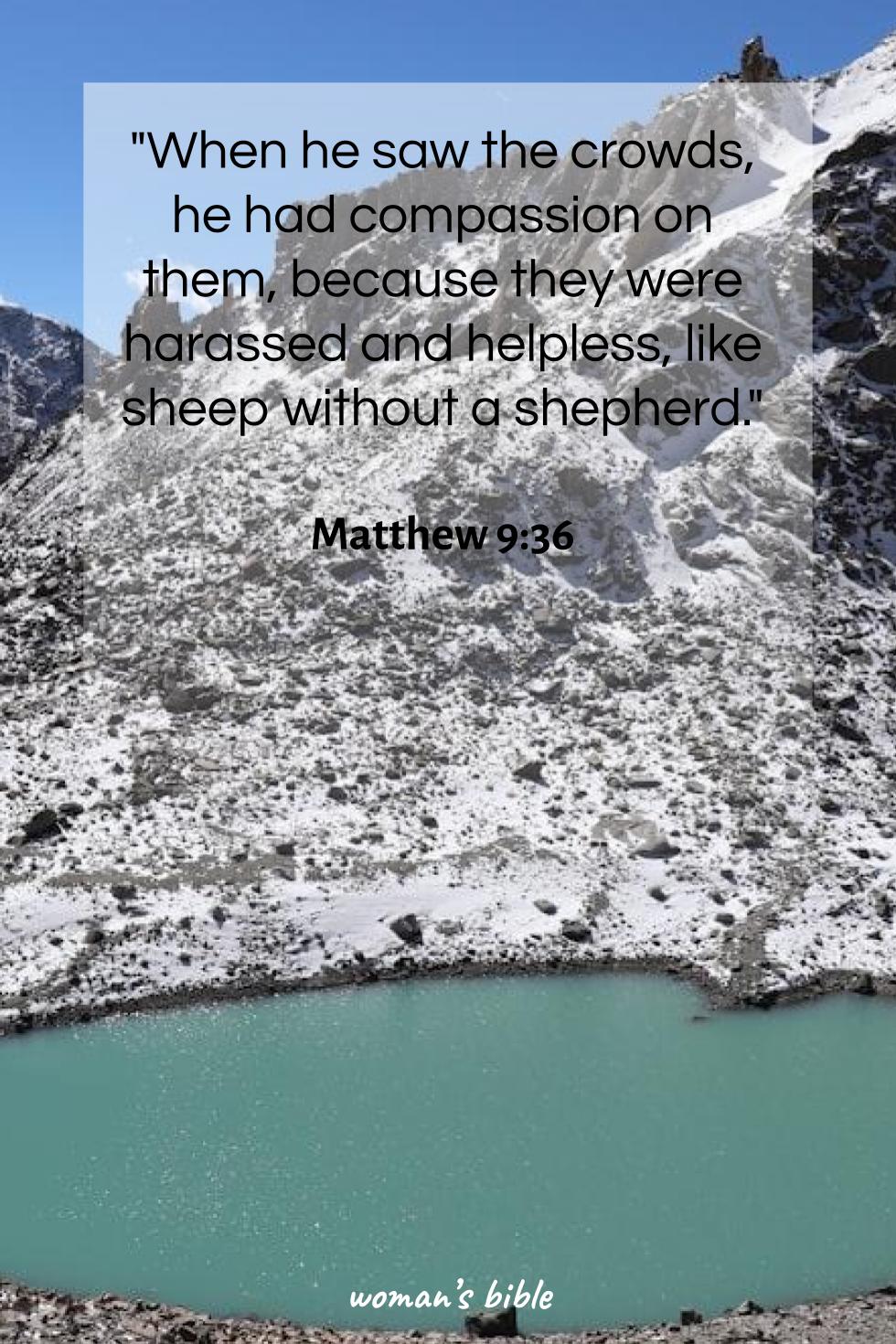 daily verse for woman Tuesday, August 13th, 2024 Matthew 9:36