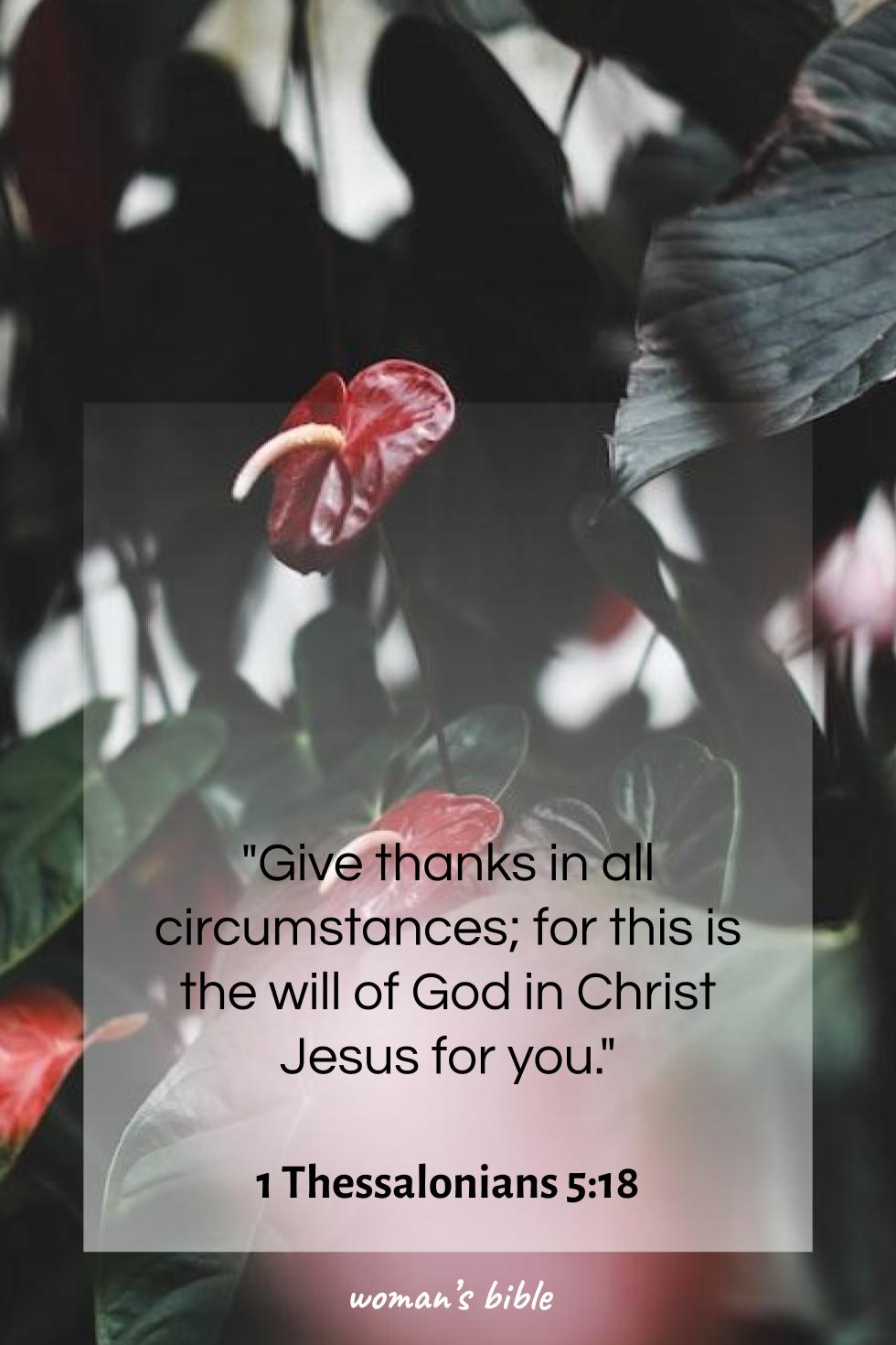 daily verse for woman Wednesday, August 14th, 2024 1 Thessalonians 5:18