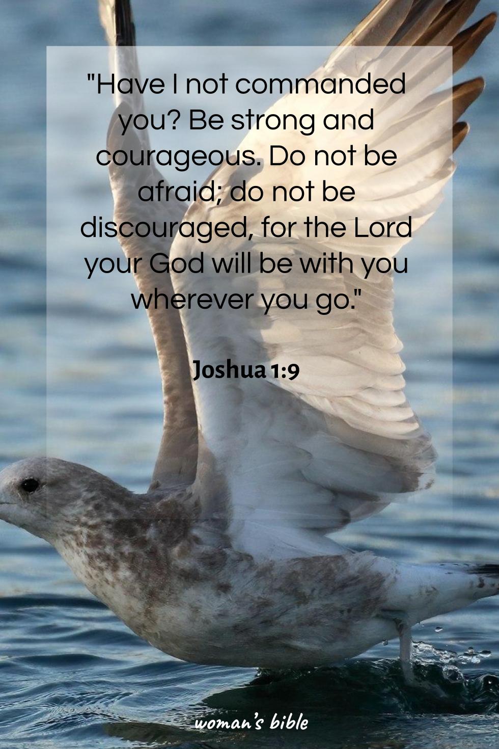 daily verse for woman Tuesday, September 10th, 2024 Joshua 1:9