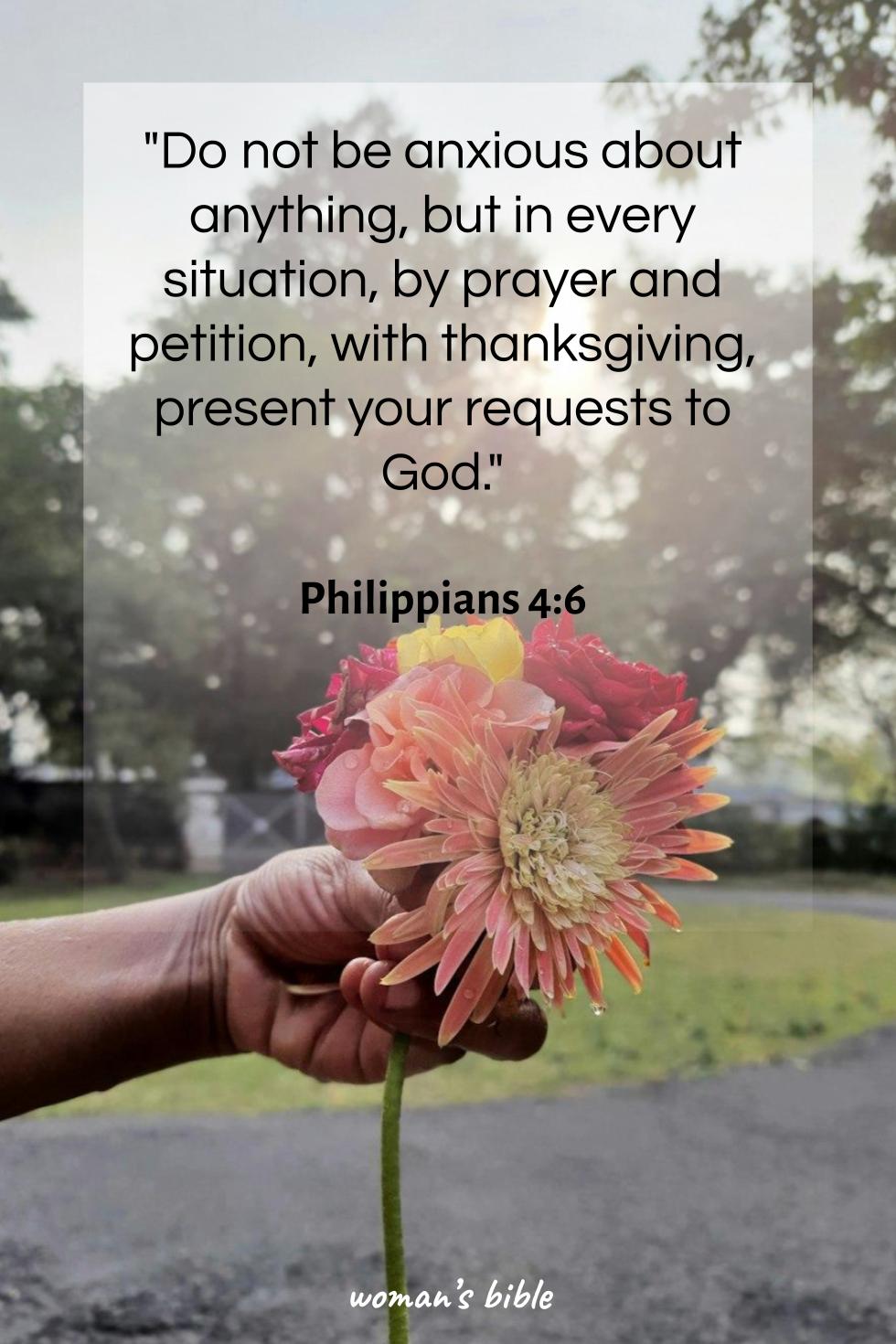 daily verse for woman Saturday, October 12th, 2024 Philippians 4:6