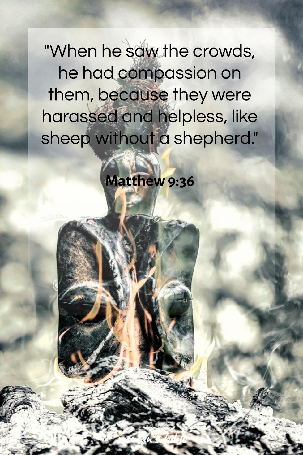 daily verse for woman Saturday, October 19th, 2024 Matthew 9:36