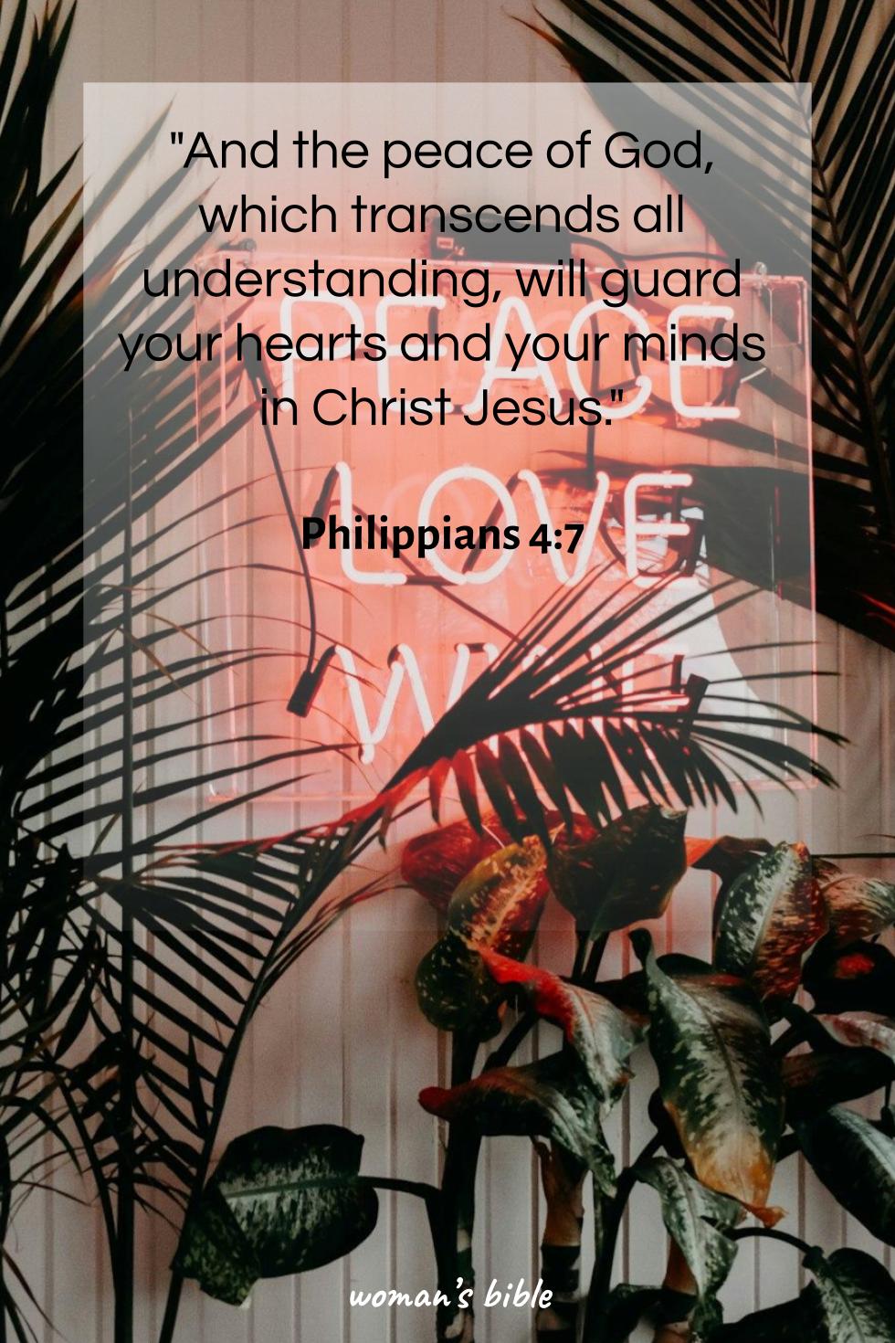 daily verse for woman Friday, November 15th, 2024 Philippians 4:7