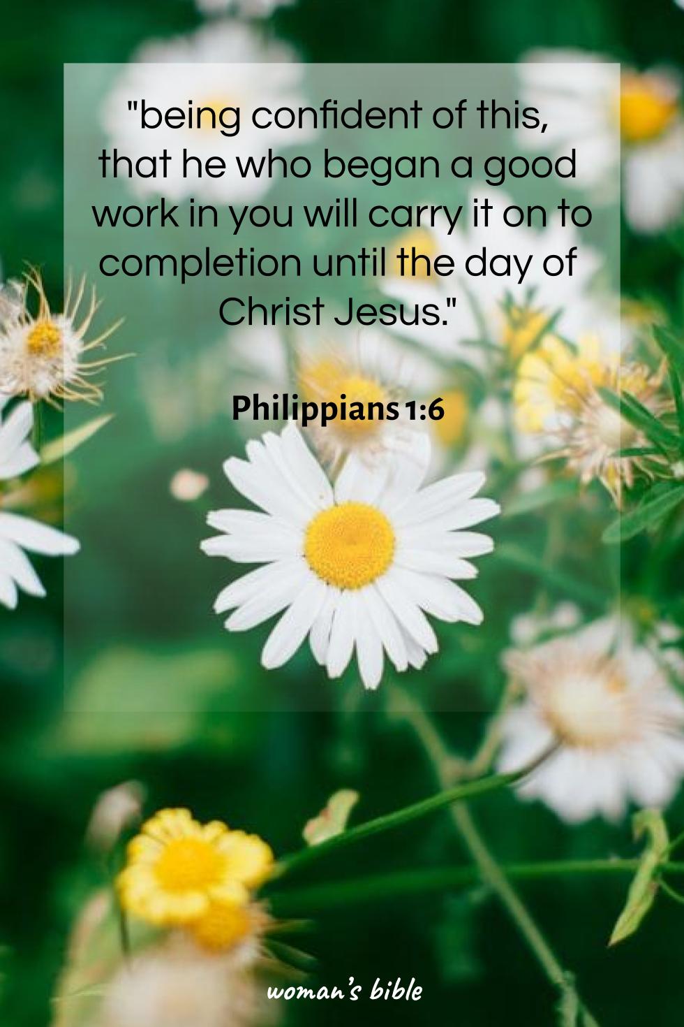 daily verse for woman Saturday, February 15th, 2025 Philippians 1:6