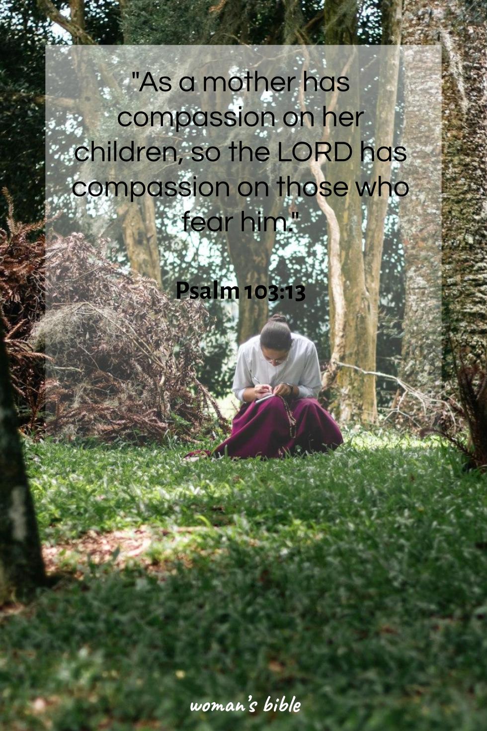 daily verse for woman Thursday, February 27th, 2025 Psalm 103:13