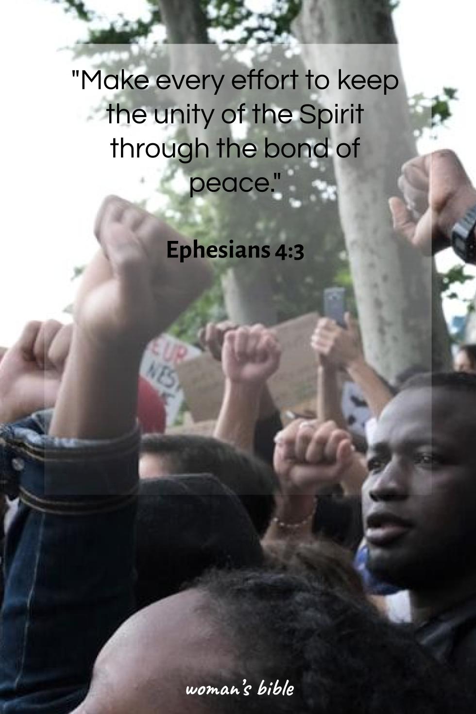 daily verse for woman Friday, June 13th, 2025 Ephesians 4:3