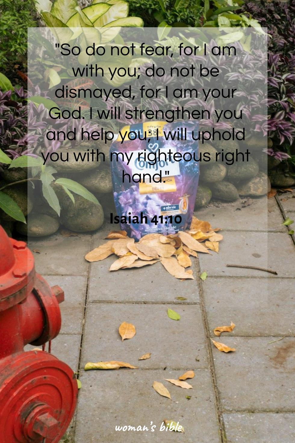 daily verse for woman Monday, July 14th, 2025 Isaiah 41:10