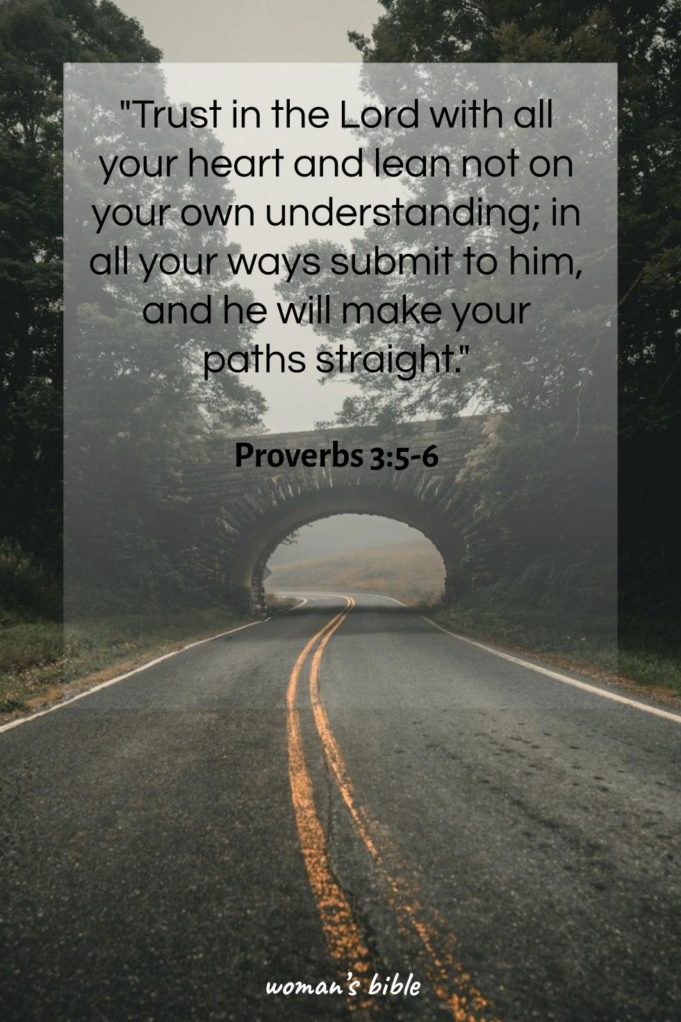 daily verse for woman Thursday, July 17th, 2025 Proverbs 3:5-6