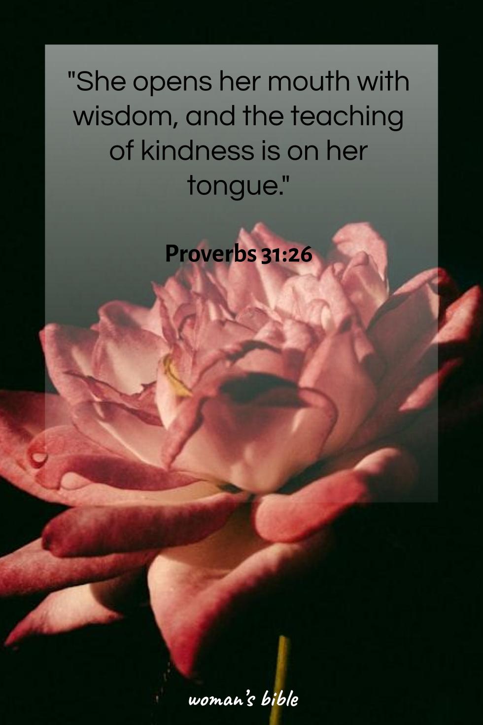 daily verse for woman Tuesday, July 1st, 2025 Proverbs 31:26