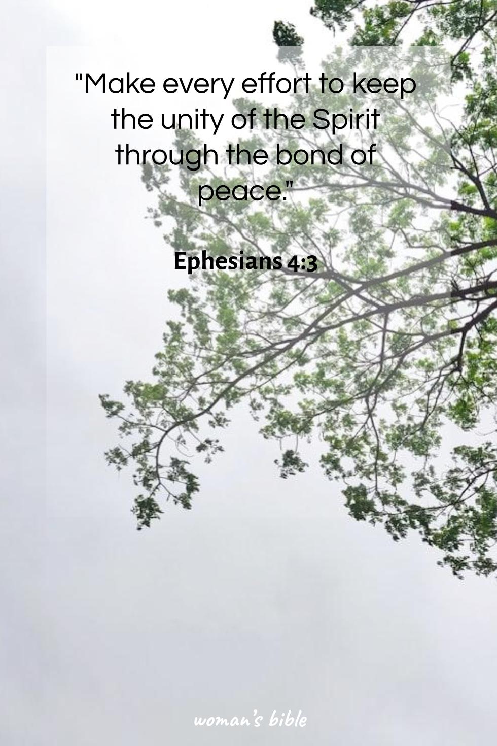 daily verse for woman Sunday, August 17th, 2025 Ephesians 4:3