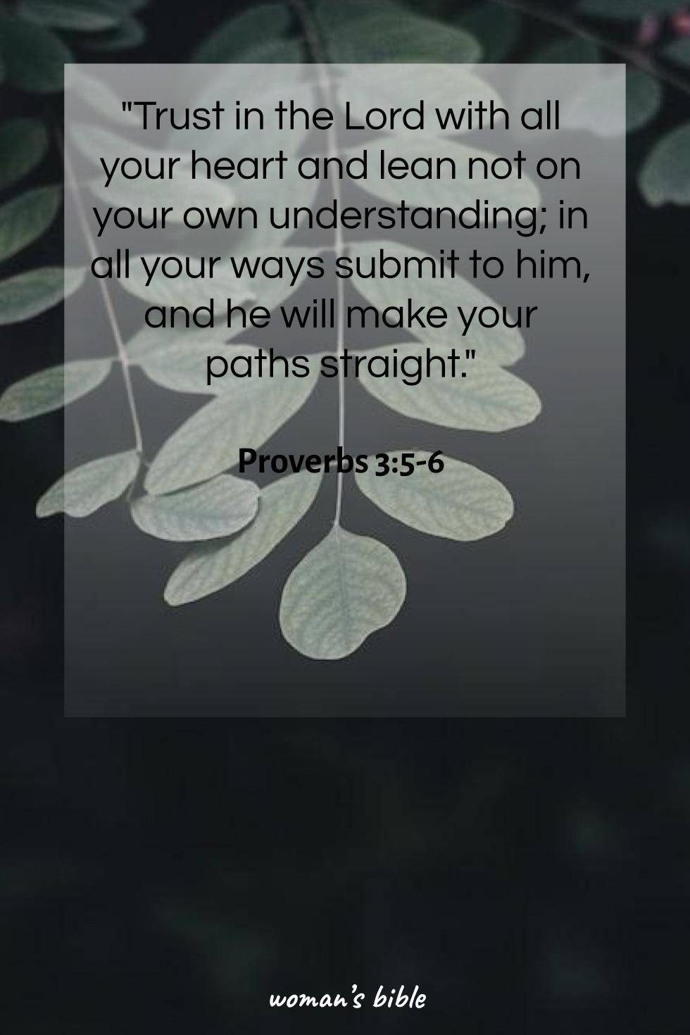 daily verse for woman Tuesday, August 12th, 2025 Proverbs 3:5-6