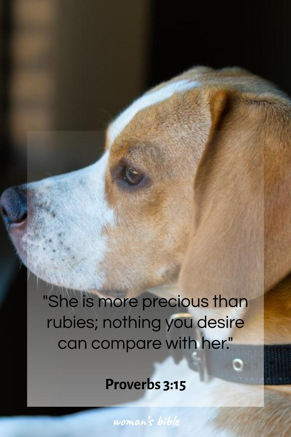 daily verse for woman Friday, September 12th, 2025 Proverbs 3:15