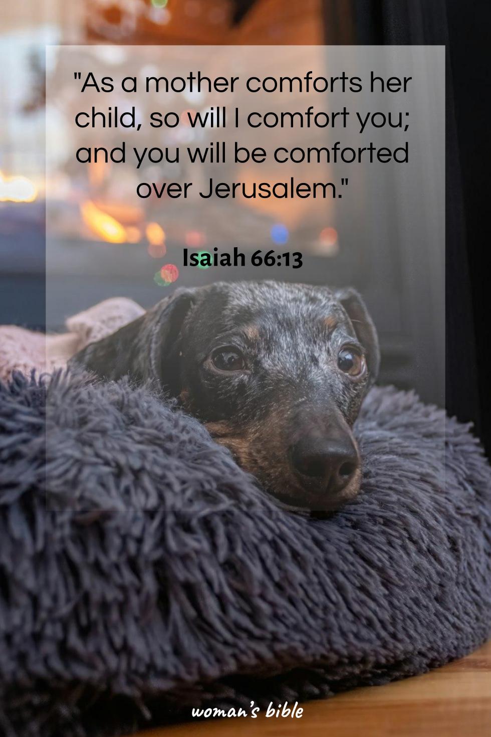 daily verse for woman Monday, September 22nd, 2025 Isaiah 66:13
