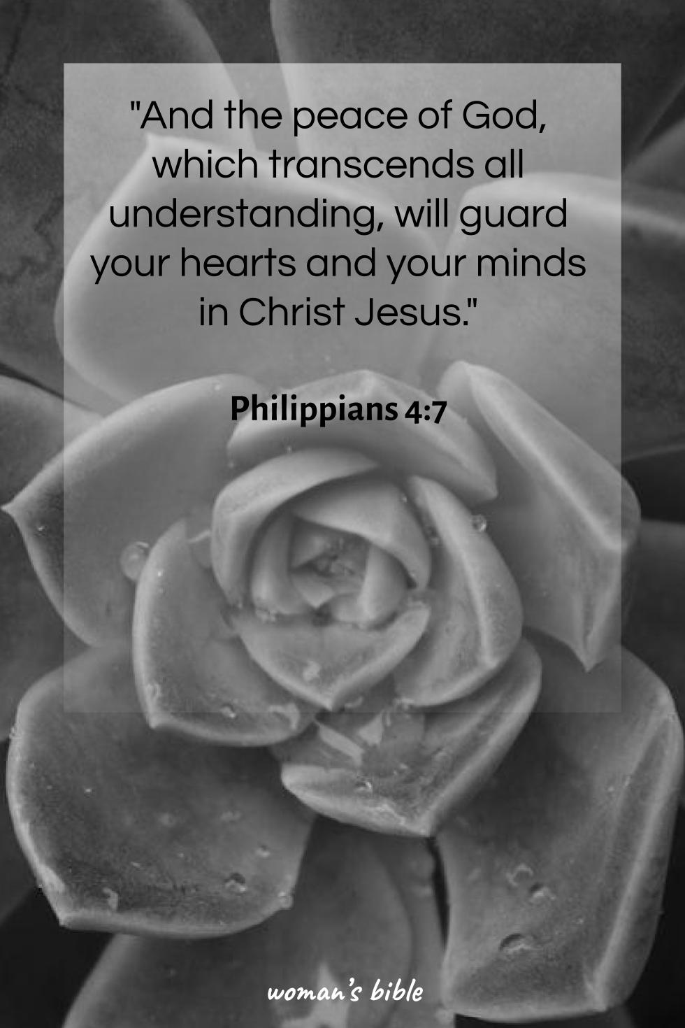 daily verse for woman Saturday, September 13th, 2025 Philippians 4:7