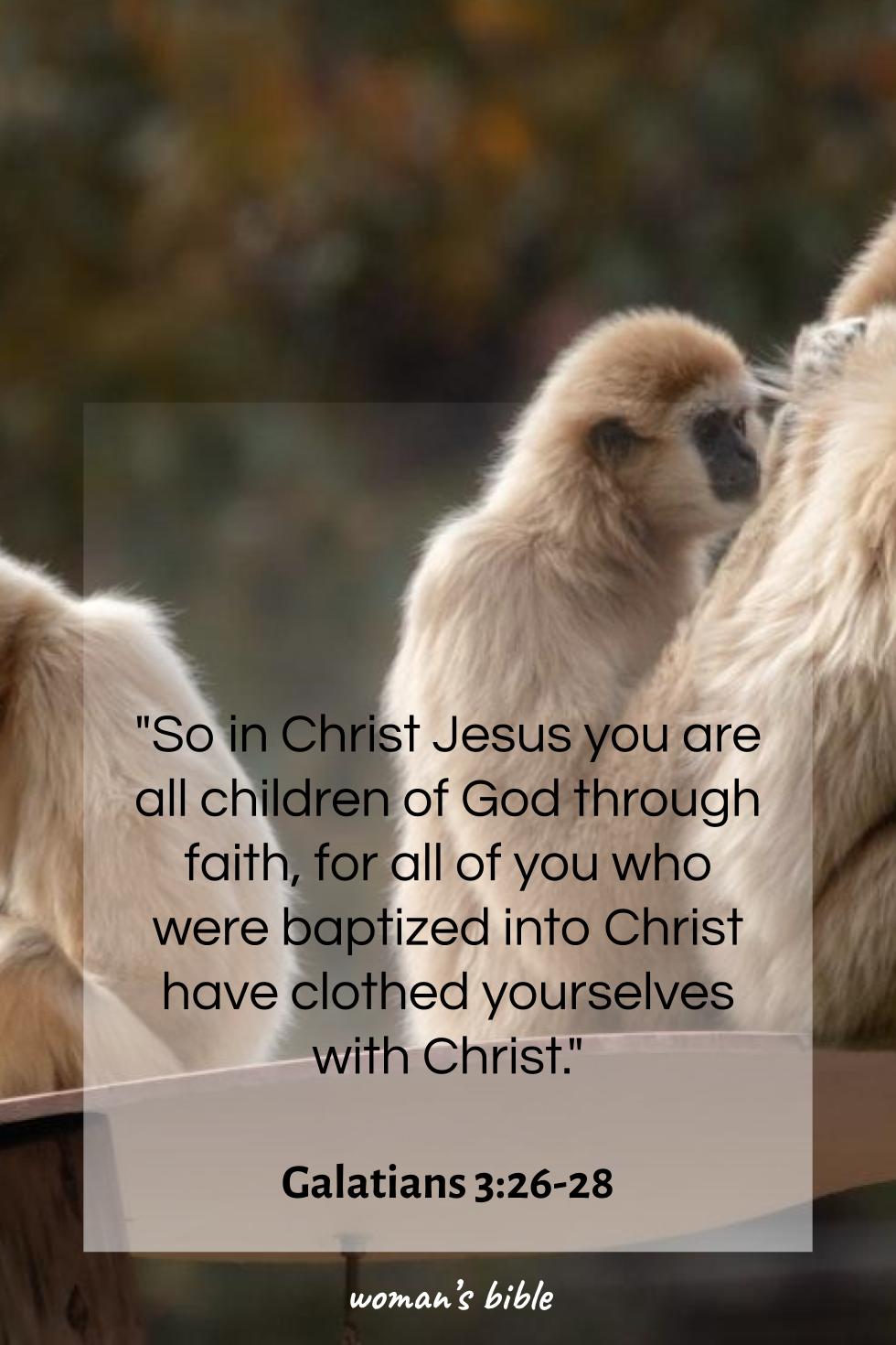 daily verse for woman Thursday, September 18th, 2025 Galatians 3:26-28