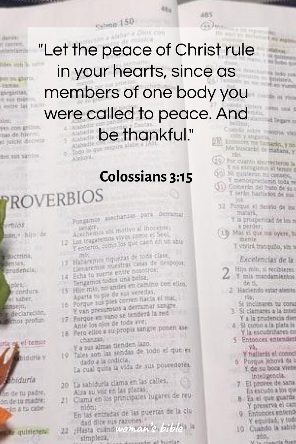 daily verse for woman Thursday, October 23rd, 2025 Colossians 3:15