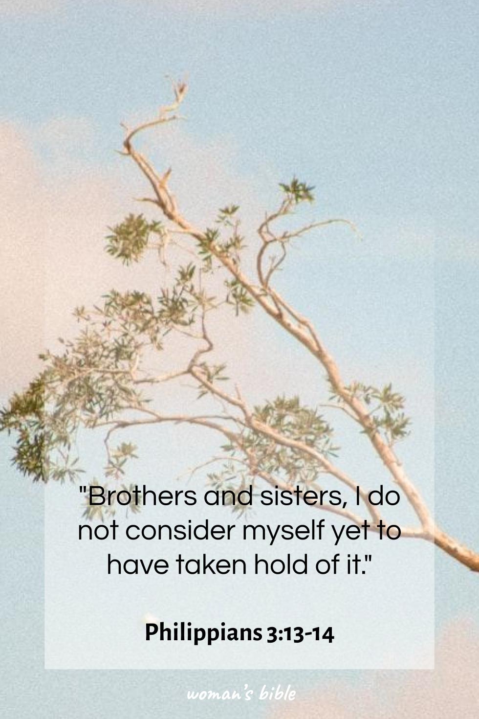 daily verse for woman Tuesday, October 14th, 2025 Philippians 3:13-14