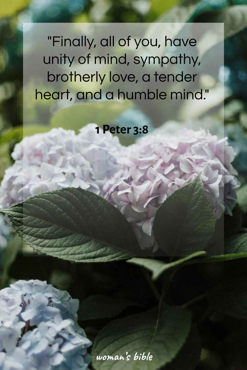 daily verse for woman Tuesday, October 7th, 2025 1 Peter 3:8