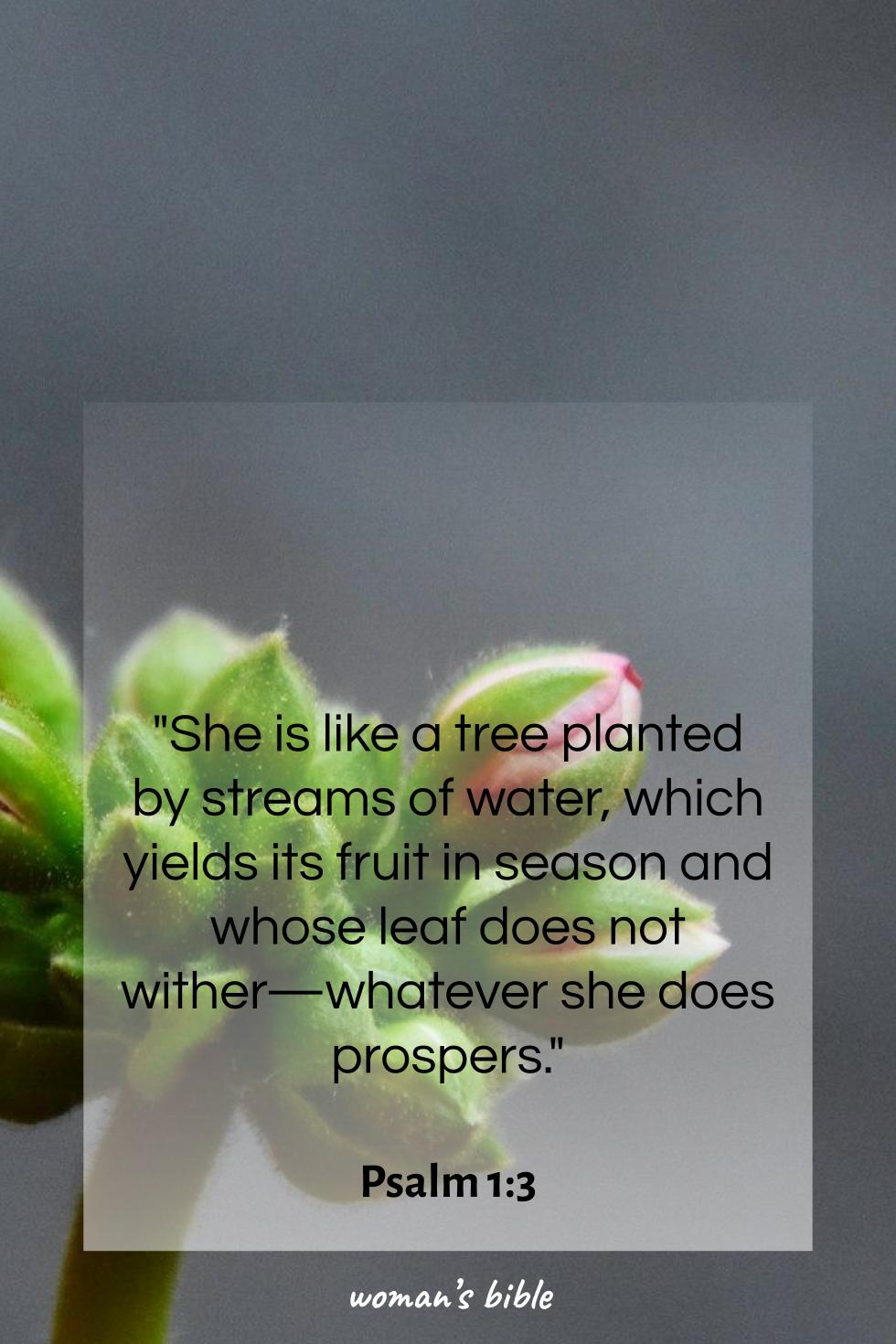 daily verse for woman Friday, November 21st, 2025 Psalm 1:3