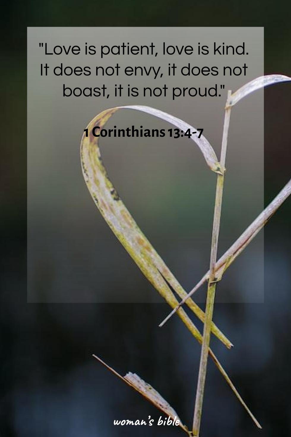 daily verse for woman Monday, November 17th, 2025 1 Corinthians 13:4-7