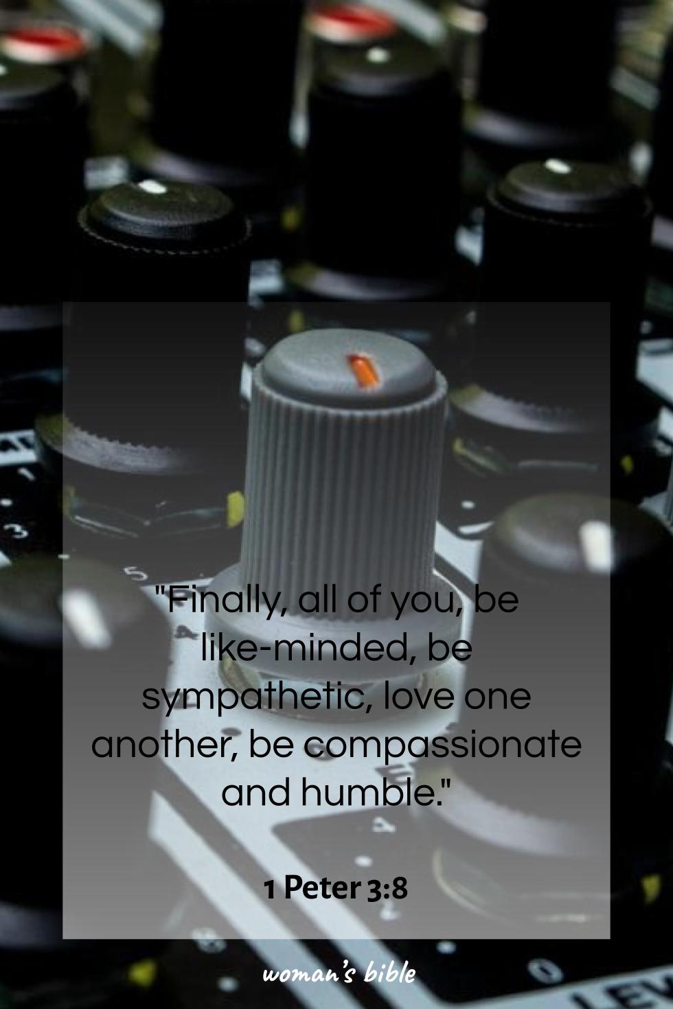 daily verse for woman Sunday, November 9th, 2025 1 Peter 3:8