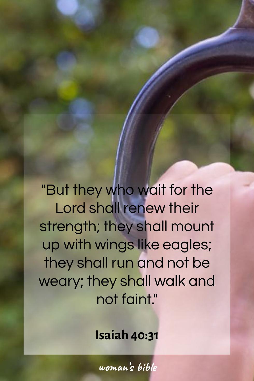 daily verse for woman Thursday, November 6th, 2025 Isaiah 40:31