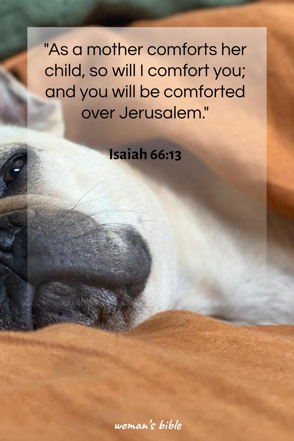 daily verse for woman Wednesday, November 5th, 2025 Isaiah 66:13