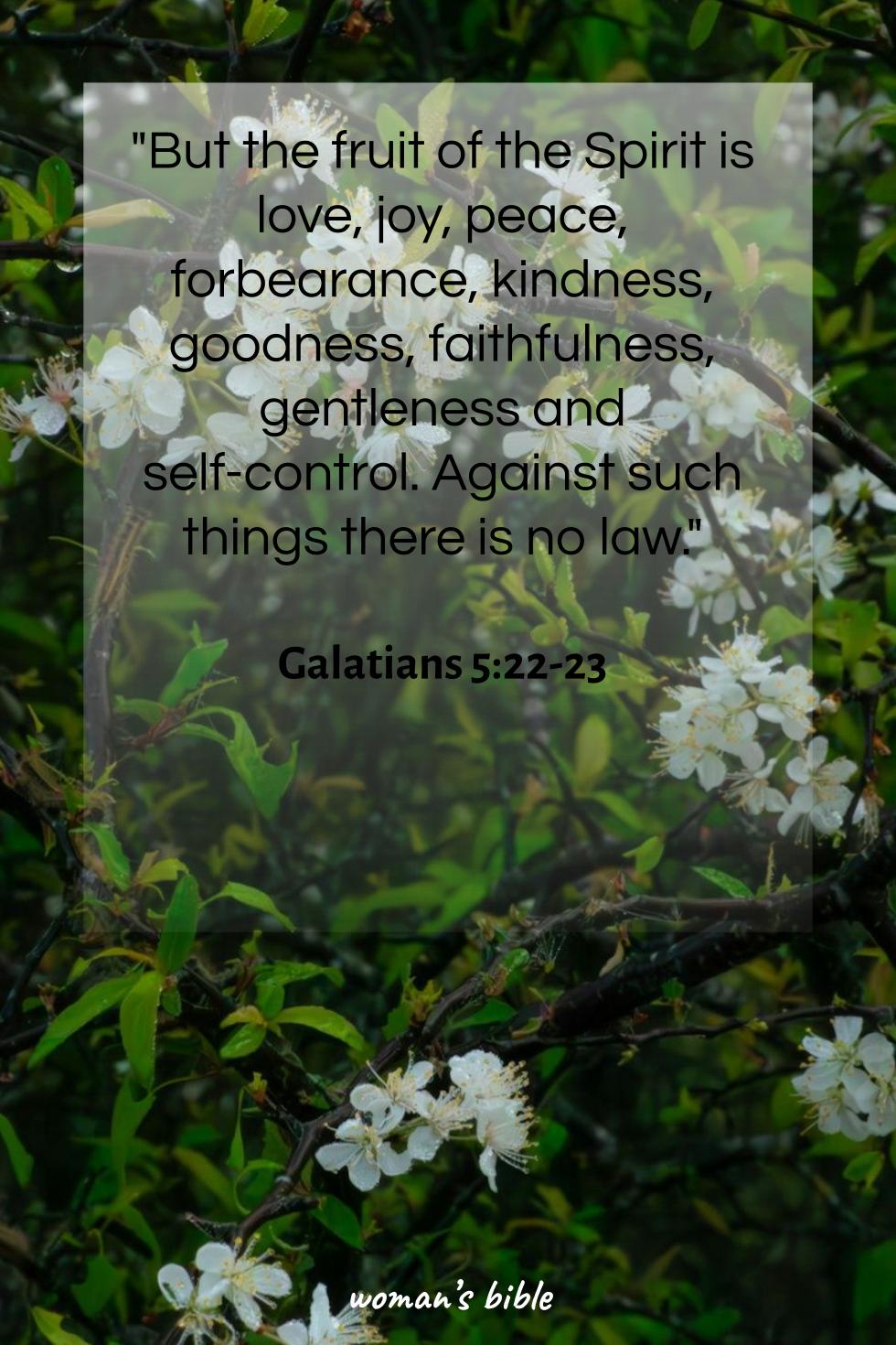 daily verse for woman Friday, December 19th, 2025 Galatians 5:22-23