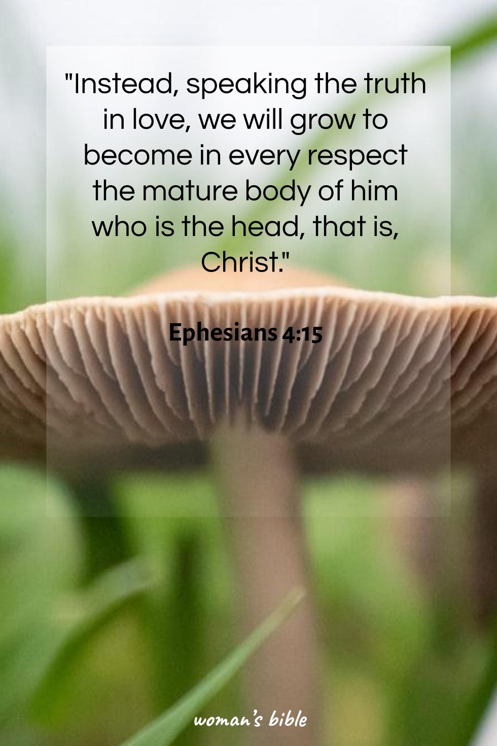 daily verse for woman Monday, December 22nd, 2025 Ephesians 4:15