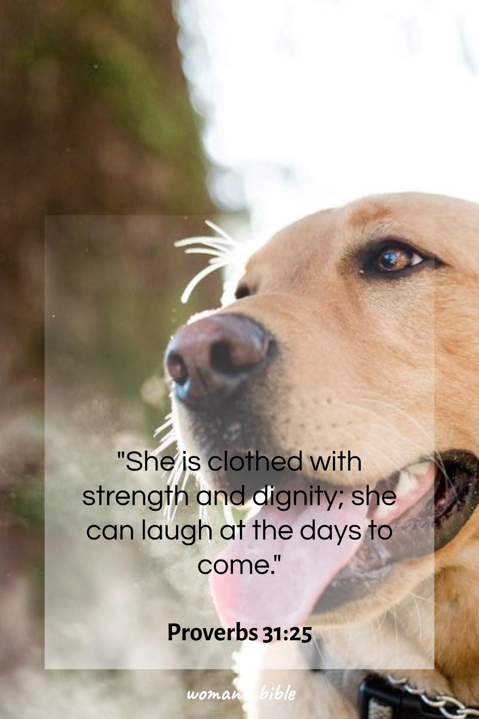 daily verse for woman Saturday, December 6th, 2025 Proverbs 31:25