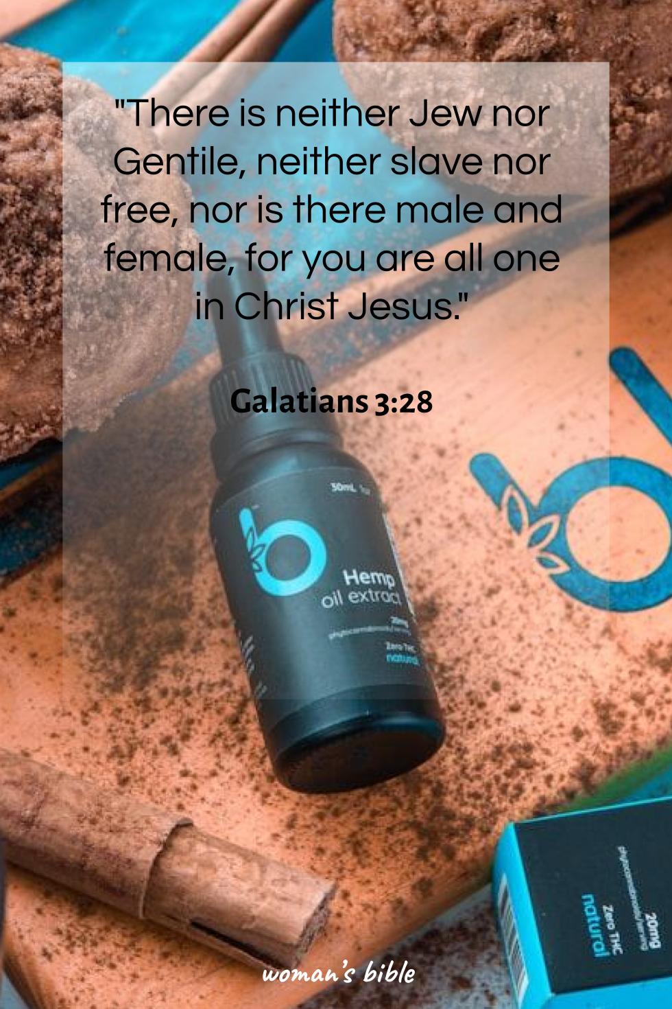 daily verse for woman Sunday, December 7th, 2025 Galatians 3:28