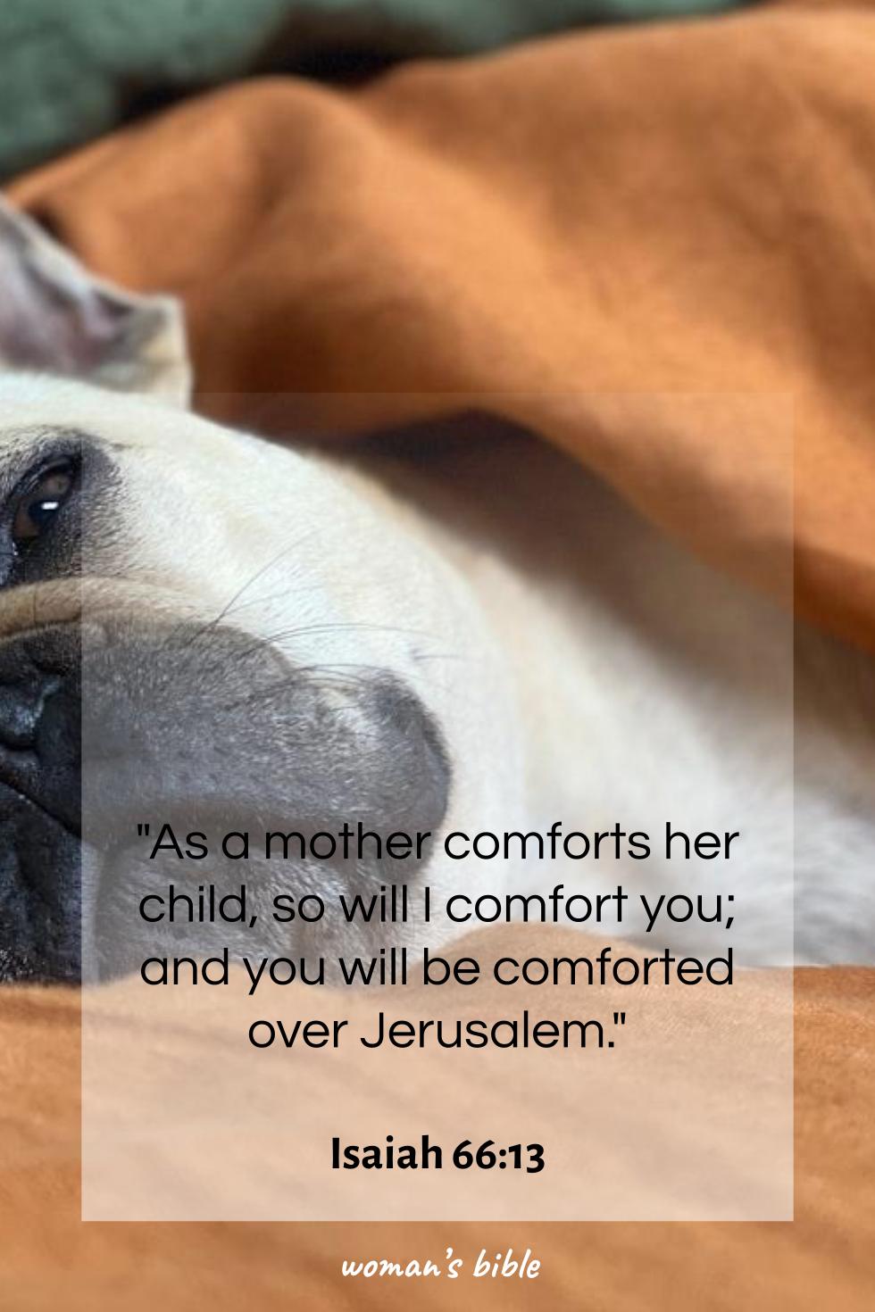 daily verse for woman Sunday, January 4th, 2026 Isaiah 66:13