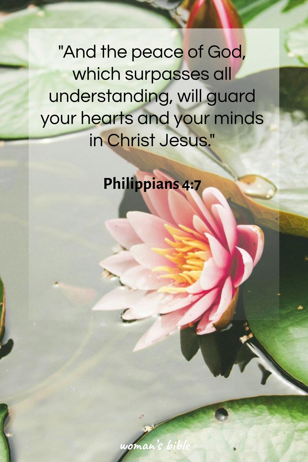 daily verse for woman Tuesday, January 27th, 2026 Philippians 4:7